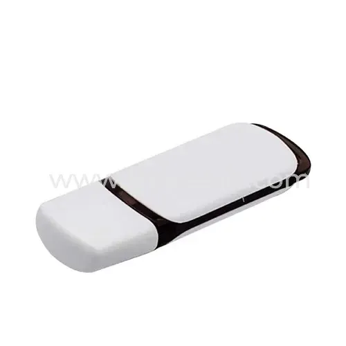 Promotional Plastic Color USB