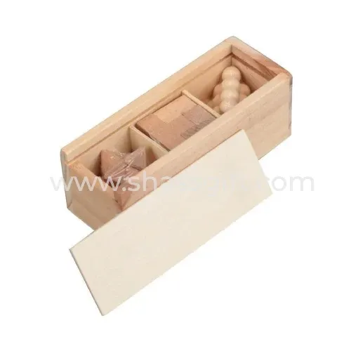 3 Pcs Brain Teaser Puzzle Set