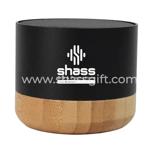 Bamboo Speaker
