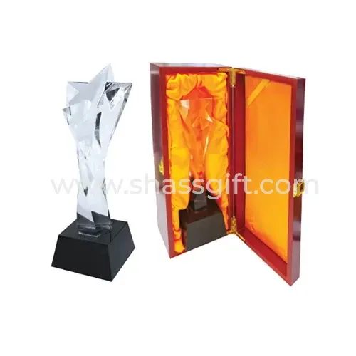 Mesh Glass Award