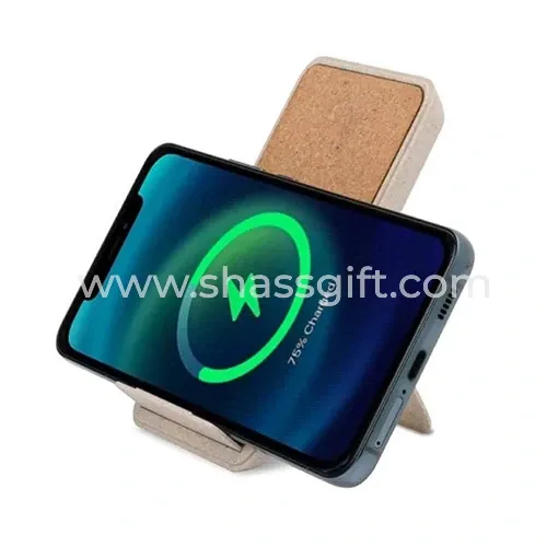 Eco Fast Charger
