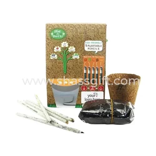 Plant A Pencil Kit