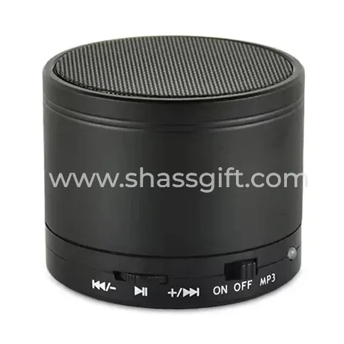 Mini Bluetooth Speaker