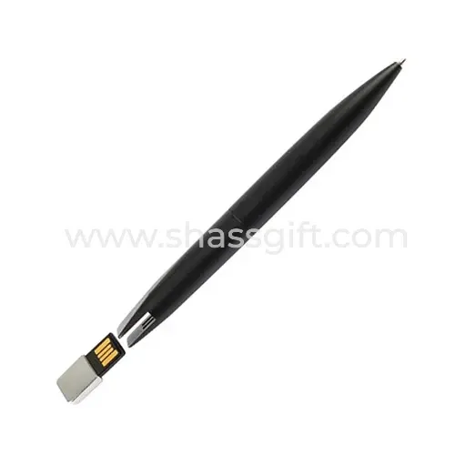 2-In-1 Luxury Pen USB