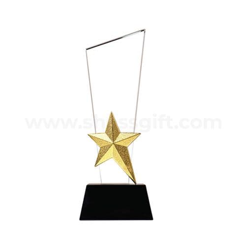 Crystal Trophy with Metal Star